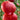 Tree of Hearts Tomato, 5 Seeds