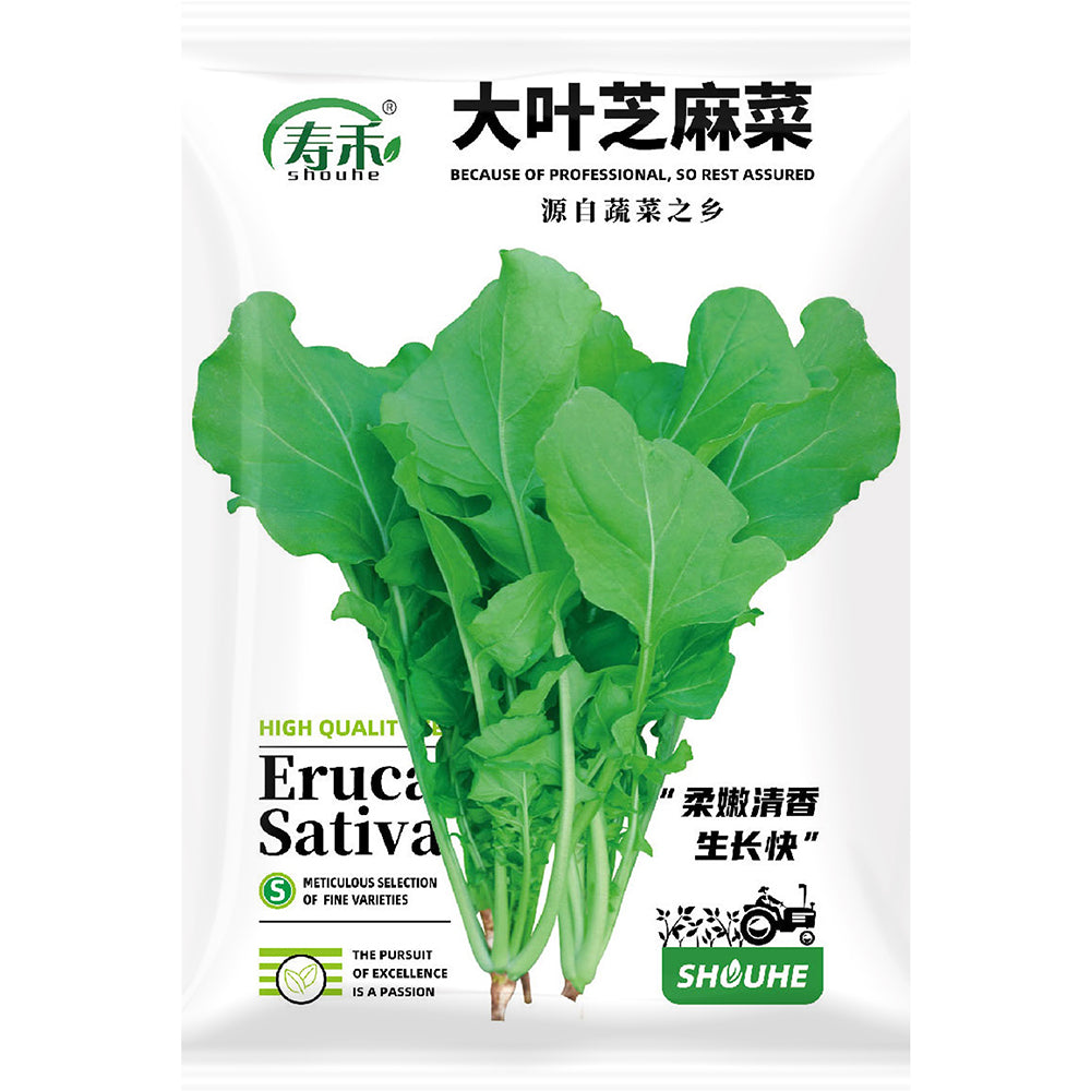 Organic Large-Leaf Arugula Seeds