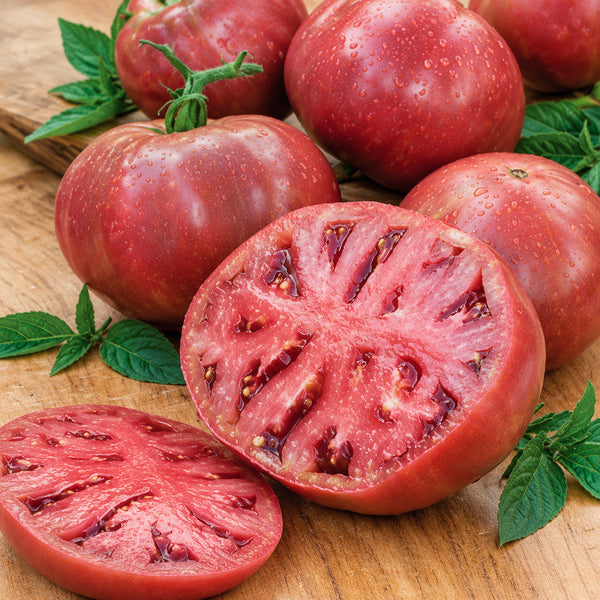 91 Purple Passion Tomato, 5 Seeds