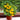 Potted Dwarf Yellow Tomato, 100 Seeds