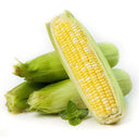 'Etianyu No.3' Corn Seeds