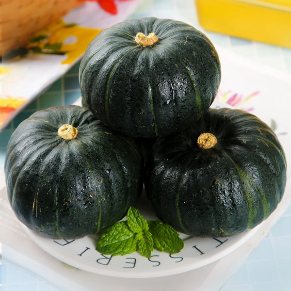 Zhongbei No.2 Pumpkin Seeds, 50 Seeds
