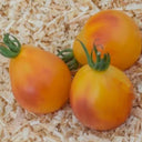 839 Piedmont Pear Tomato, 5 Seeds