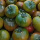 Sweet Heart Fruit Tomato, 100 Seeds