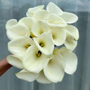 'White Art' Calla Lily, 16/18cm Circumference, 1 Bulb