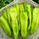 Ruila Spicy Goat's Horn Pepper Seeds, 50 Seeds