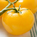 'Imperial Concubine' Yellow Tomato