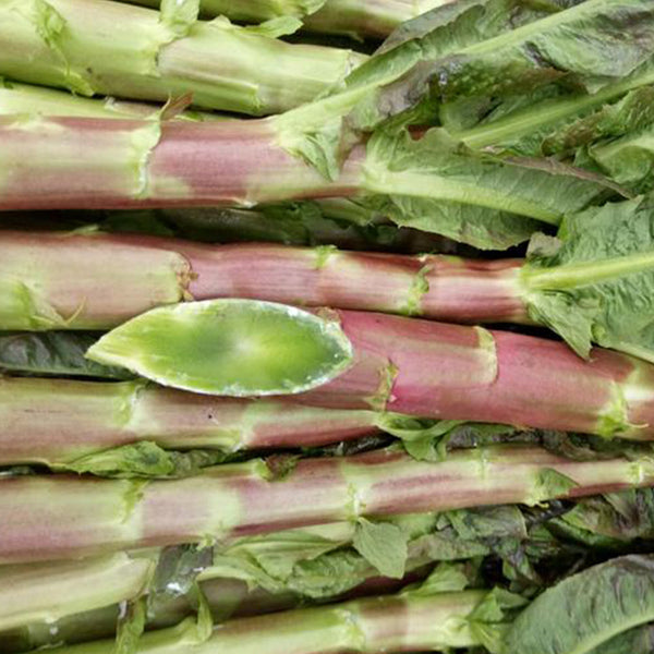 Red Asparagus Lettuce Seeds