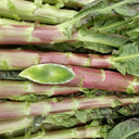 Red Asparagus Lettuce Seeds