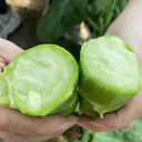 Jingyan Huge Stem Gai Lan