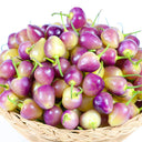 Vibrant Guangxi Rainbow Pickled Pepper Seeds