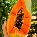 Red Fruit Wonder: Premium Organic Papaya Seeds