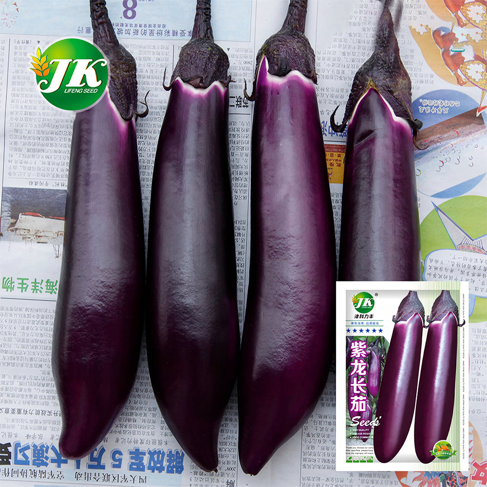 'Purple Dragon' Long Eggplant Seeds