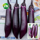 'Purple Dragon' Long Eggplant Seeds