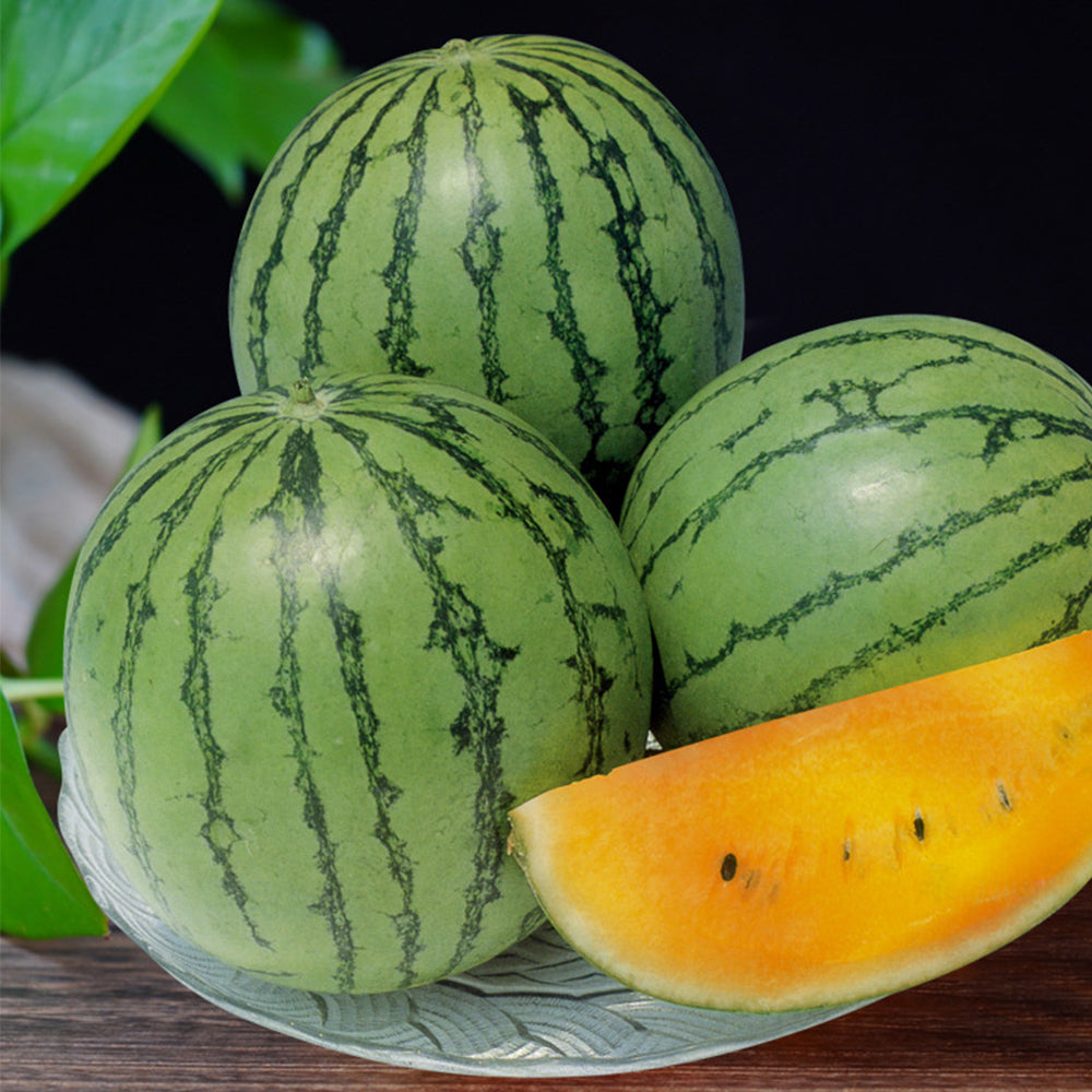 'Rainbow Ice Cream' Watermelon Seeds