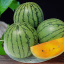 'Rainbow Ice Cream' Watermelon Seeds