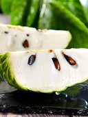 Soursop Seeds