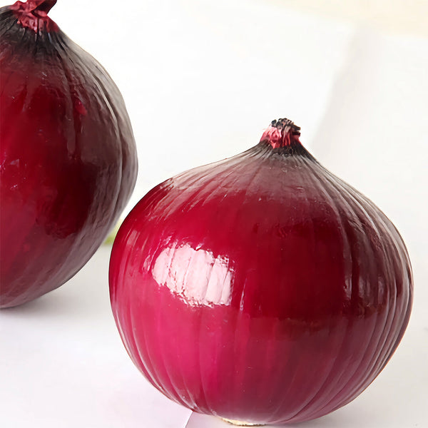 Red Onion Seeds