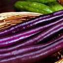 'Purple Dragon' Hangzhou Eggplant Seeds