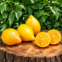 343 Midnight Sun Tomato, 3 Seeds