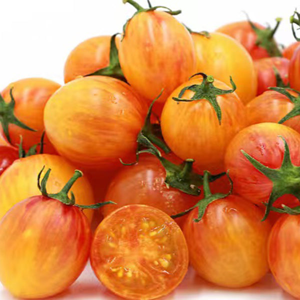 930 Sunrise Bumblebee Tomato, 5 Seeds