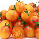 930 Sunrise Bumblebee Tomato, 5 Seeds