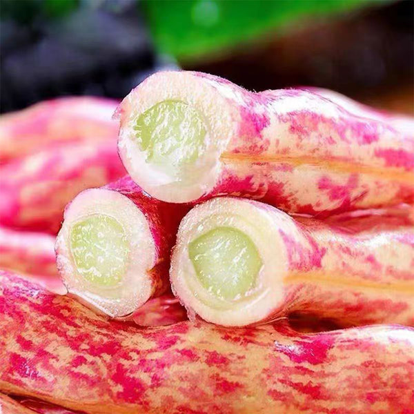 Red Golden Hook Kidney Bean Seeds, 10g Per Bag