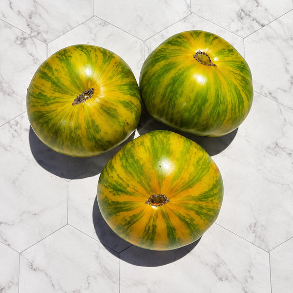 305 Dwarf Rebel Yellow-Green F4 Tomato, 5 Seeds
