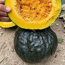 Sweet as Honey Pumpkin Seeds, 5g