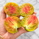1143 Rainbow Veselka Tomato, 5 Seeds