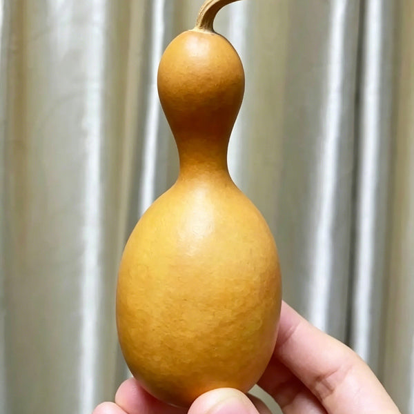 Flower Bottle Gourd, 10 Seeds