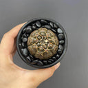 Gymnocalycium stellatum var. paucispinum, 3-4cm