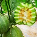 Huajun Emerald Sweet Melon Seeds, 50 Seeds