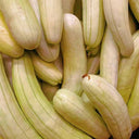 Ketian Brand White-Veined White Melon Seeds, 10g