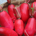 'Guanhong No.3' Radish Seeds, 20g