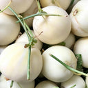 Shengyu No.1 F1 Melon, 200 Seeds