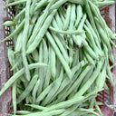 'Shuangqing Yudou' Snap Bean Seeds, 25g