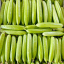 Crispy Jade Fruit Cucumber, 5 Seeds