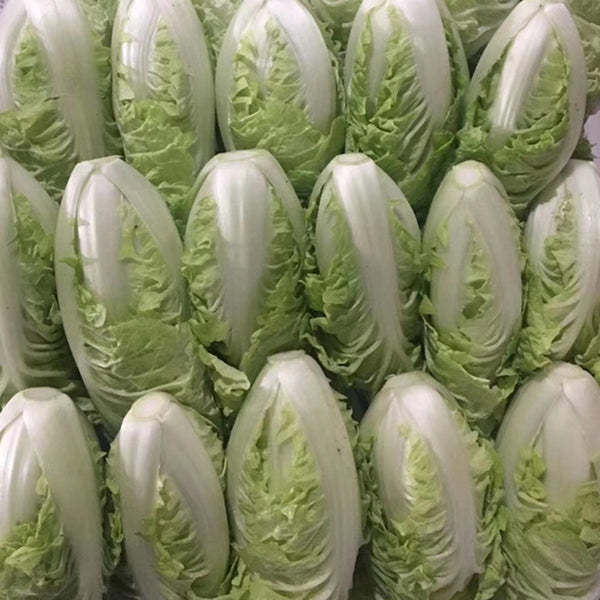 Golden Summer Crown Cabbage Seeds, 10g