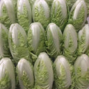 Golden Summer Crown Cabbage Seeds, 10g