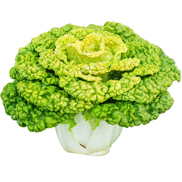 Yellow-Heart Flat Cabbage Seeds, 10g