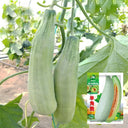 Goat Horn Crispy Melon Seeds, 2g