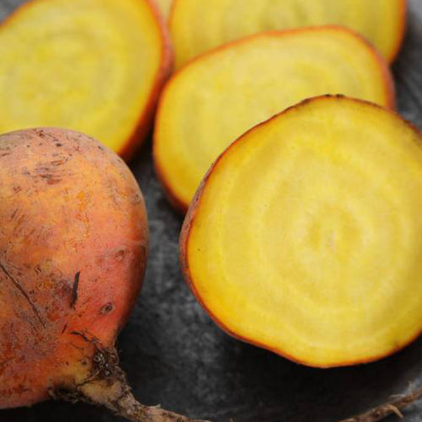 Yellow Beetroot Seeds, 2g