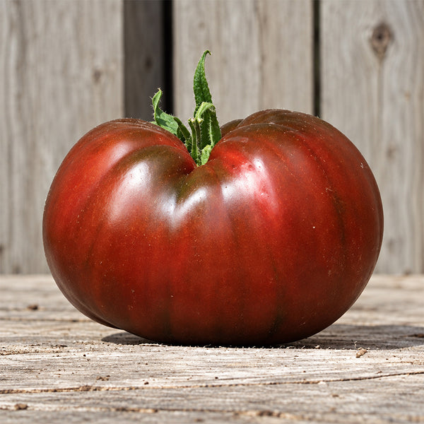 297 Perth Pride Dwarf Tomato, 5 Seeds