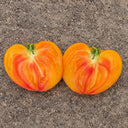 407 Cœur de Zèbre Abricot Tomato, 5 Seeds