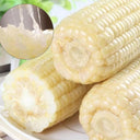 Sweet-waxy No.182 Corn Seeds