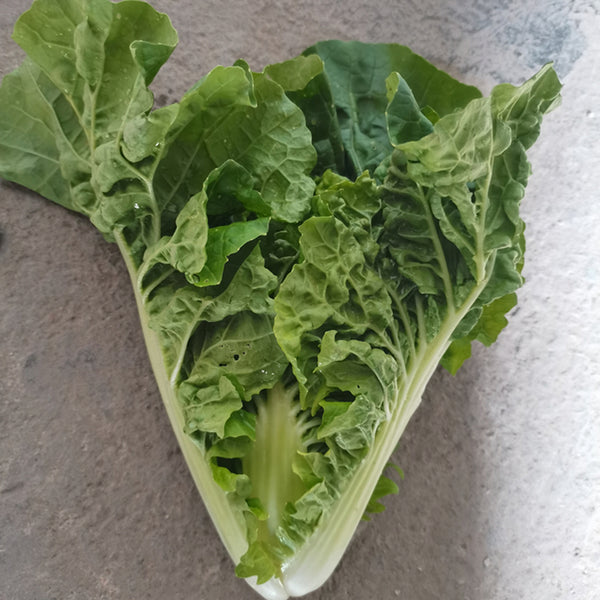 Early Royal Beijing Cabbage Seeds, 20g