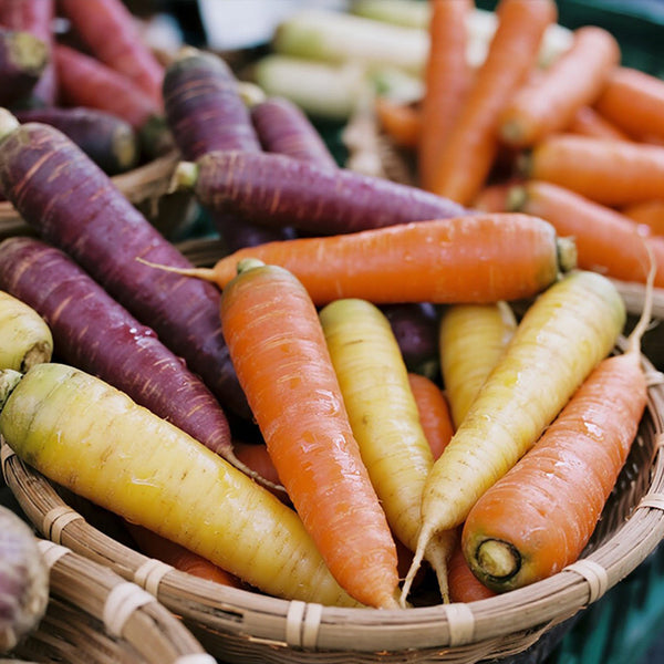 Rainbow Carrot, 1500 Seeds
