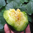 Flying No.8' Sweet Melon Hybrid F1 Seeds, 50 Seeds