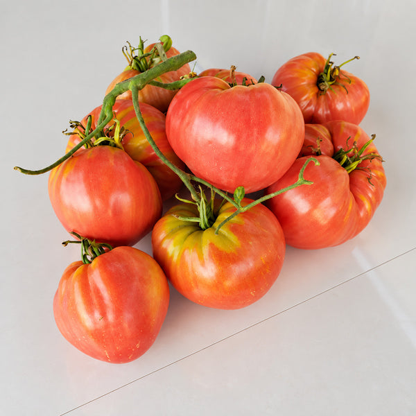 331 Yoshkin Cat Tomato, 5 Seeds